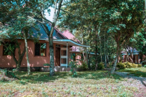 Charming Bungalows